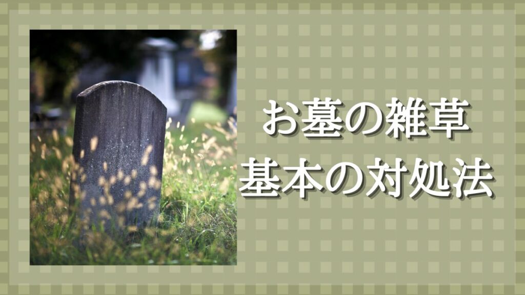 墓　雑草