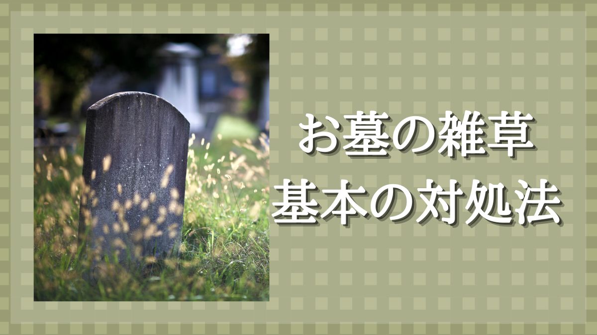 墓 雑草