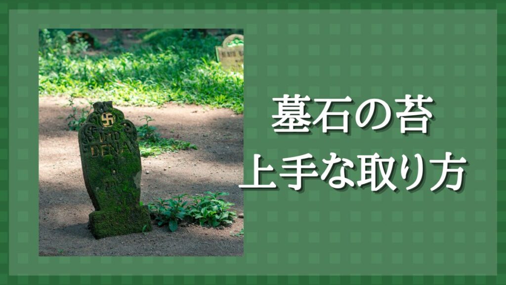 墓石　苔　取り方